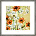 Coreopsis With French Gypsophile Blanc Framed Print