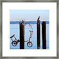 Cormorant Biker Framed Print
