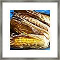 Corn Framed Print