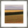 Corn Circle Near Sunset Framed Print