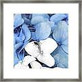 Country Fly Blue Hydrangea Watercolor Framed Print