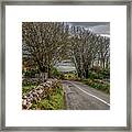 Country Highway Framed Print