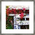 Country Rose On A Fence 2 Framed Print