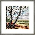 Country Shade Framed Print