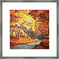 Country Stream In The Fall Framed Print