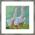 Couple Of Geese Framed Print