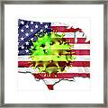 Covid 19 Outbreak In United States Framed Print