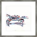 Crab Framed Print