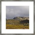 Cradle Valley Boardwalk, Tasmania, Australia Framed Print