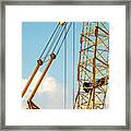 Crane Framed Print