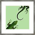 Crawling Reptiles Framed Print