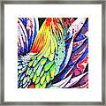 Crazy Colorful Rooster Framed Print
