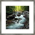 Creek In The Forest Framed Print