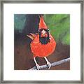 Crested Messenger Framed Print