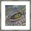 Crocodile Eye Study Framed Print