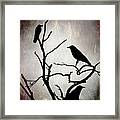 Crow Birds On Tree Bird 92 Framed Print