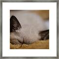 Cuddles With Uncle Sunny Framed Print