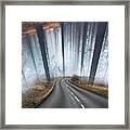 Curvy Road Framed Print