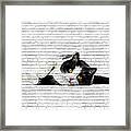 Cute And Charming, Black And White Cat - Brick Block Background Framed Print