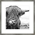Cute Highland Cow Black White #1 #wall #art Framed Print