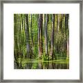 Cypress Gardens Abstract Framed Print