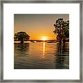Cypress Sunset Wide Framed Print