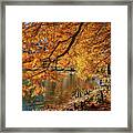 Cypress Trees At Forest Park St Louis Mo Grk4558_11012020 Framed Print