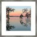 Cypress Trees In Lake Martin At Sunrise Framed Print