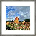 Dahlias In The Sky Framed Print