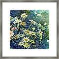 Daisy Bouquet Framed Print