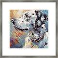 Dalmatian Dog Portrait - 01953 Framed Print