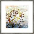 Dandelion Silhouette At Sunset Framed Print