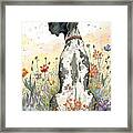 Dapple Dane In Flowers Framed Print