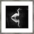 Dark Egret Framed Print