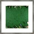 Dark Green Aesthetic Nature Theme Creative Layout Flat Lay Background. Framed Print