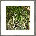Dark Hedges, County Antrim, Northern Ireland Framed Print