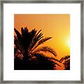 Date Palm Tree Silhouette At Beautiful Sunset In Dubai Framed Print