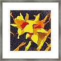 Daylilies At Night Framed Print