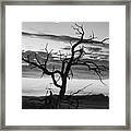 Dead Tree In A Southwest Sunset Framed Print