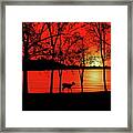 Deer At Sunset Framed Print