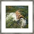 Delaware River Boulder Framed Print