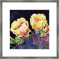 Desert Bloom 2 - Prickly Pear Framed Print