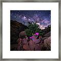 Desert Bloom Framed Print