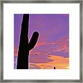 Desert Sunset 2 Cutout Series Framed Print