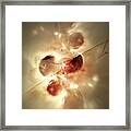 Diffuse Appearance Framed Print