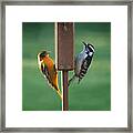 Dinner For Two Framed Print