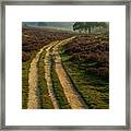 Dirtroad Between The Heather Fields Framed Print