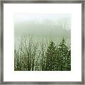Disappearing Act Framed Print
