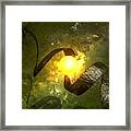 Dna Of The Universe Framed Print