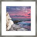 Dog At Sunset Framed Print
